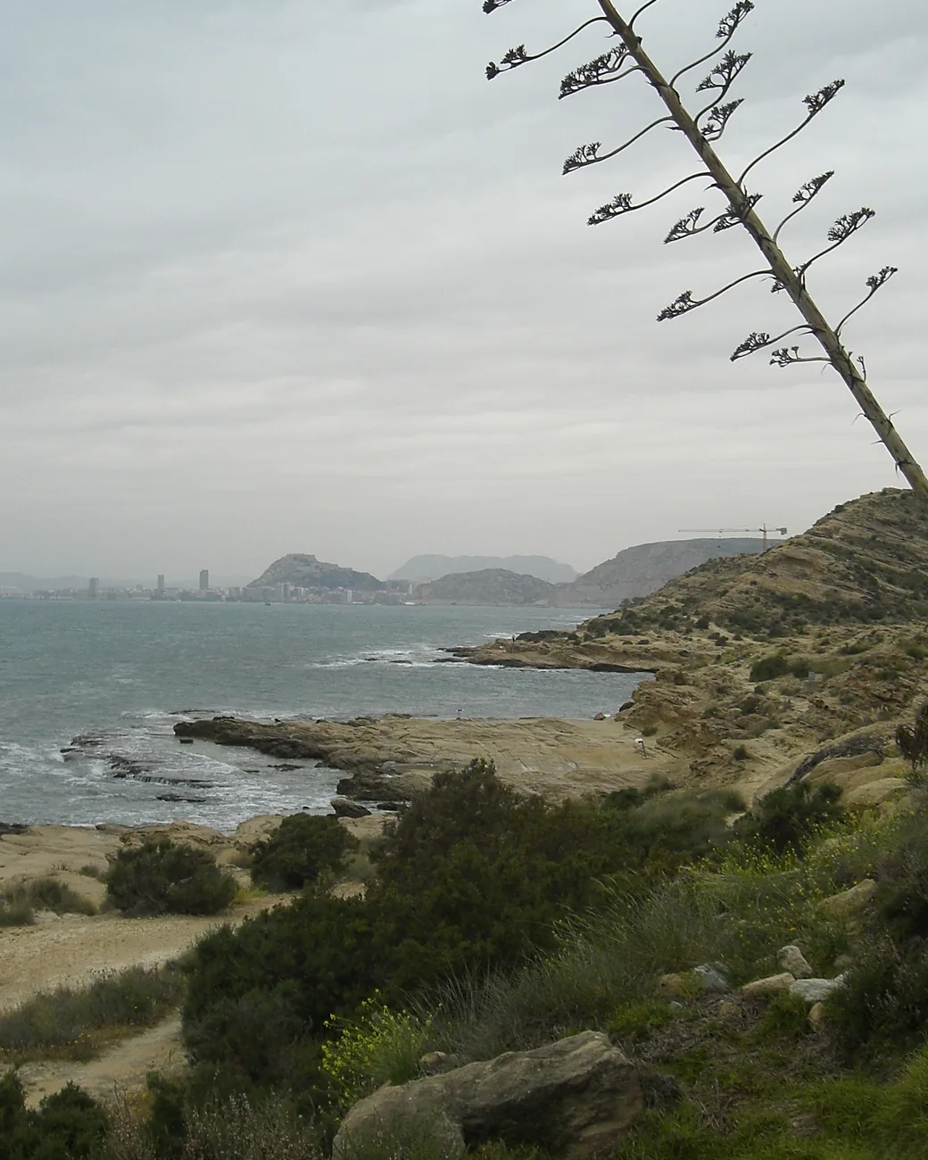 La cala del Palmerar, en el Cabo de las Huertas, con Alicante al fondo