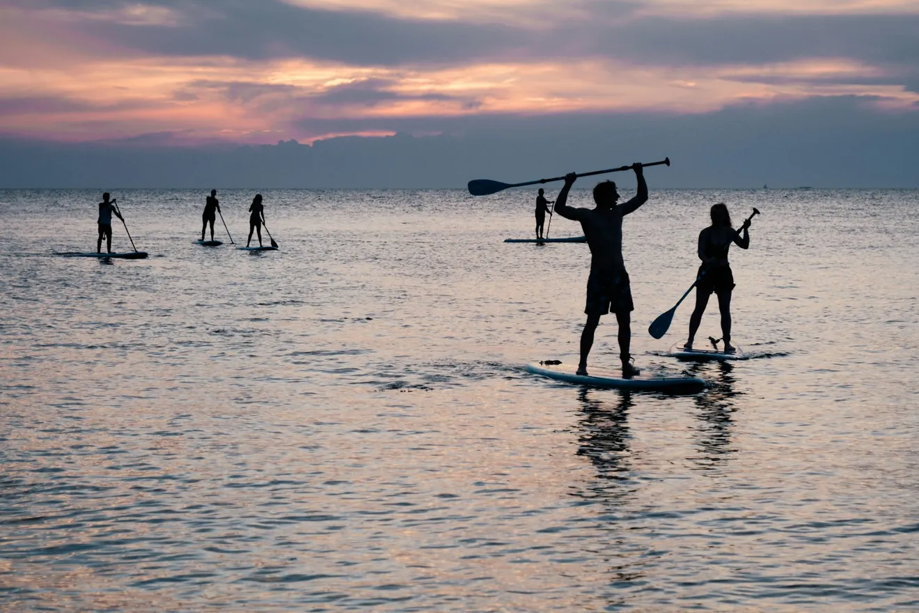 Varias personas haciendo paddle surf al atardecer